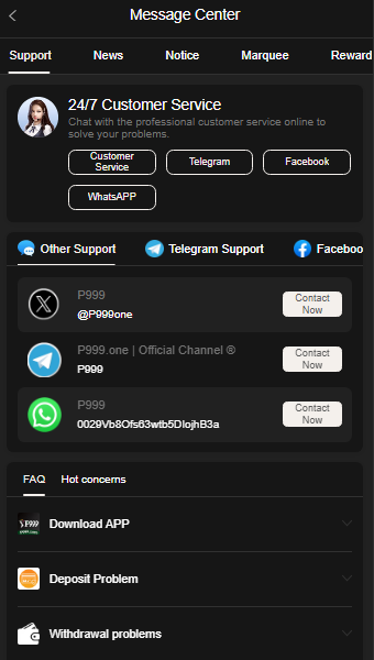 p999game p999game.io p999 game